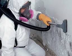 Best Environmental Consulting for Mold Prevention  in Lock Haven, PA